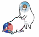 meme little_do